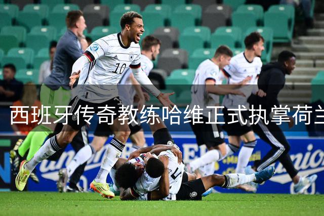 西班牙传奇教练哈维正式执掌荷兰国家队帅印