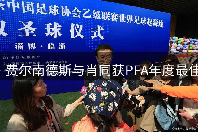 费尔南德斯与肖同获PFA年度最佳球员称号